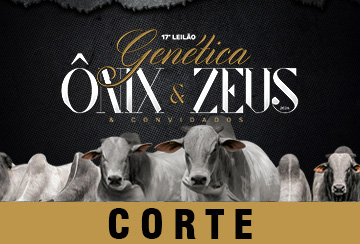 17º LEILÃO GENÉTICA ÔNIX E ZEUS & CONVIDADOS - CORTE